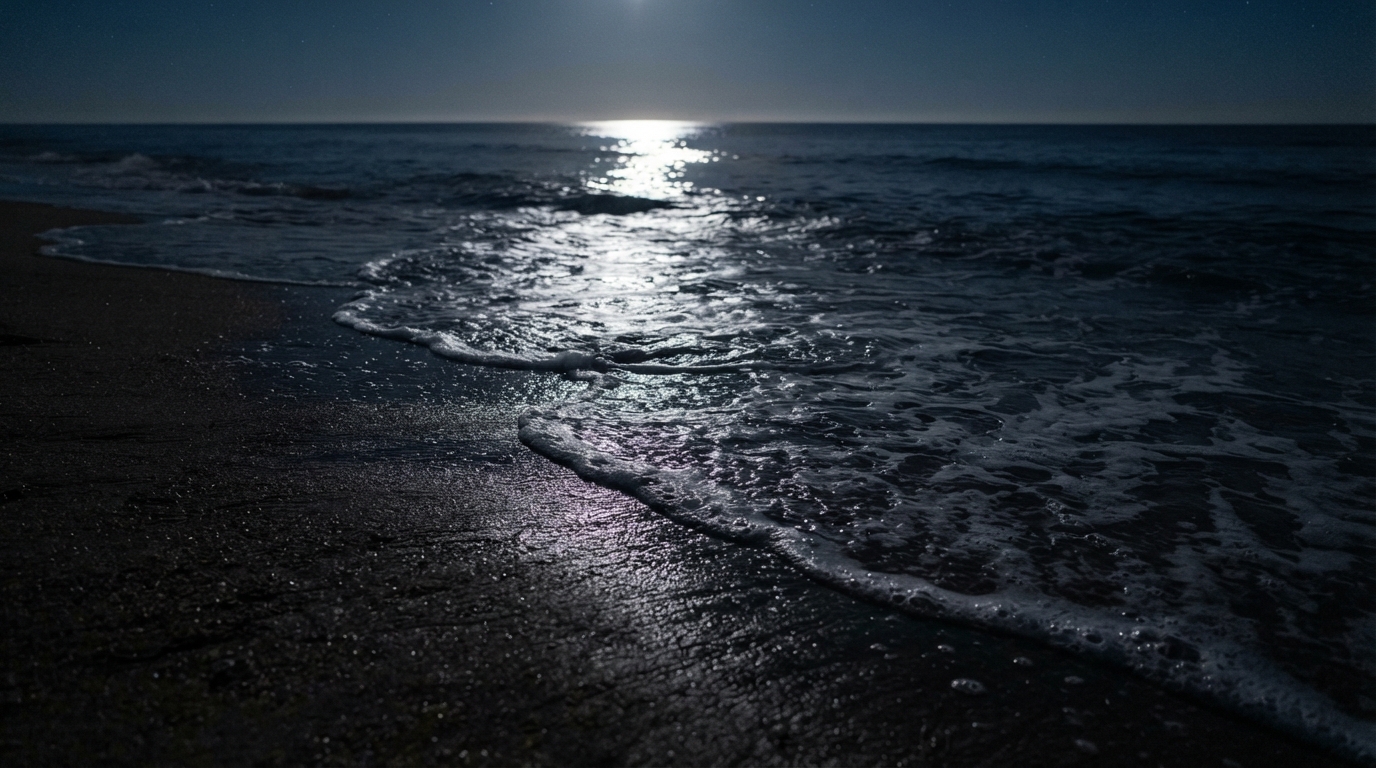 Foam Retreating
