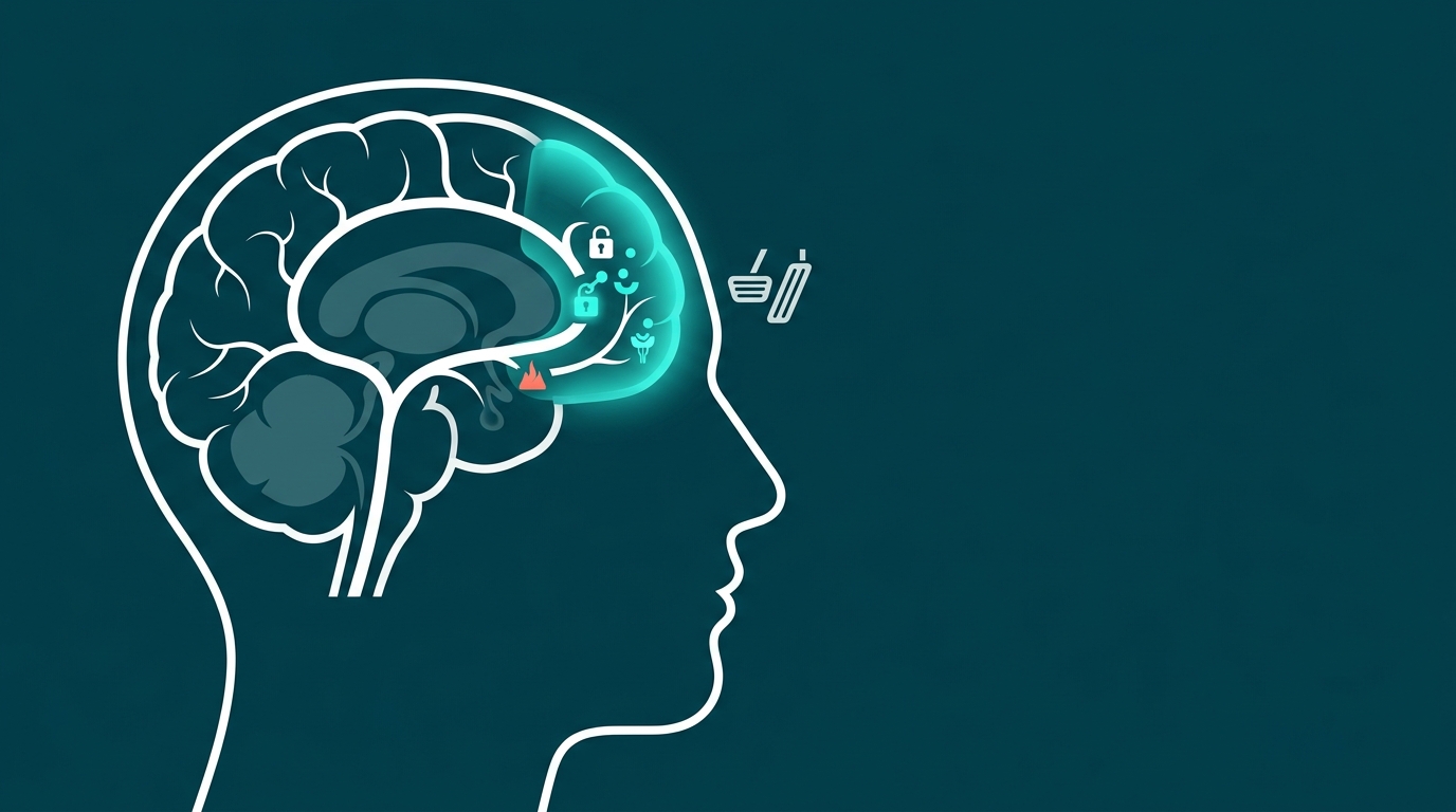Prefrontal Cortex Strengthened