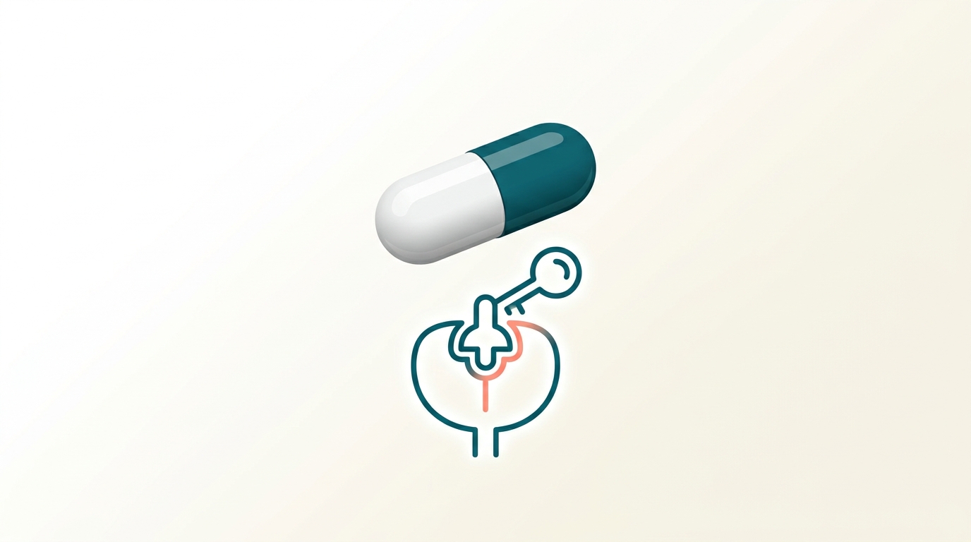 Why Do STATINS Take Weeks to Lower Cholesterol?