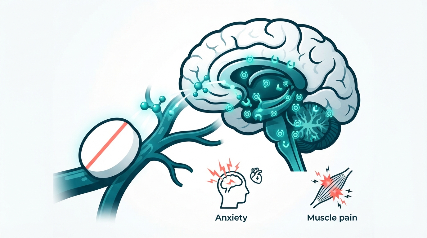Body Adapts to Opioids